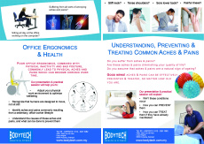 Services - Corporate Wellness Program